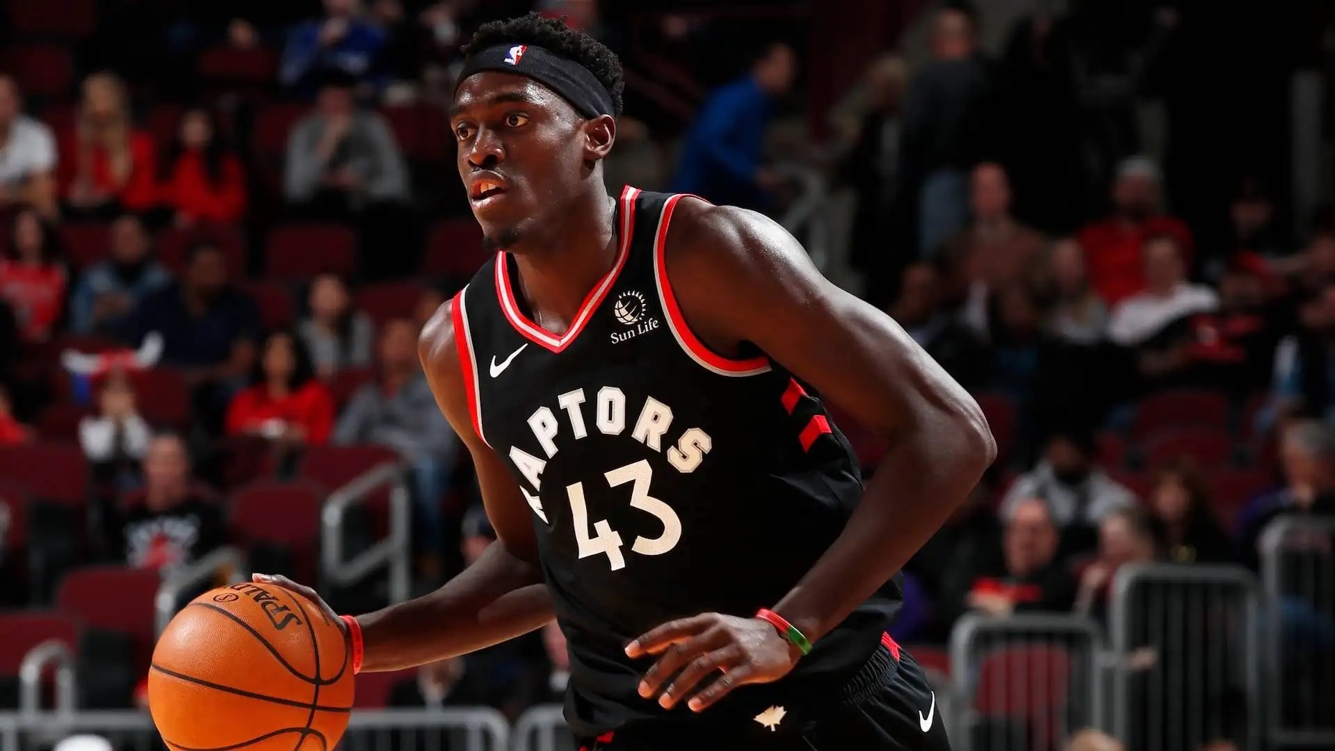 猛龙队全队发威,取得巨大胜利 猛龙队全队发威,取得巨大胜利