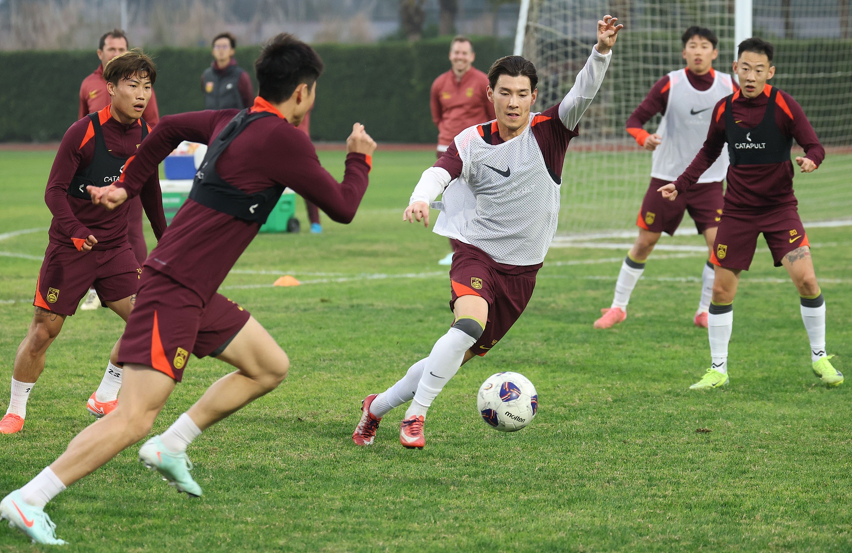 青岛队升班马表现出色,球队士气高涨 青岛队升班马表现出色,球队士气高涨