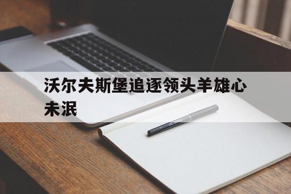 沃尔夫斯堡追逐领头羊雄心未泯 沃尔夫斯堡追逐领头羊雄心未泯